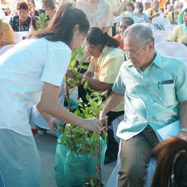 กิจกรรม Green Area : อากาศดี ชีวีมีสุข